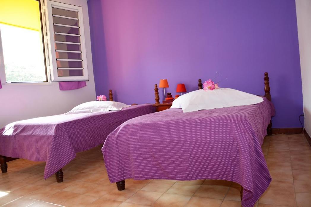Residence De Vacances Mon Refuge - Bungalow De Type T3 Grande Anse Zewnętrze zdjęcie