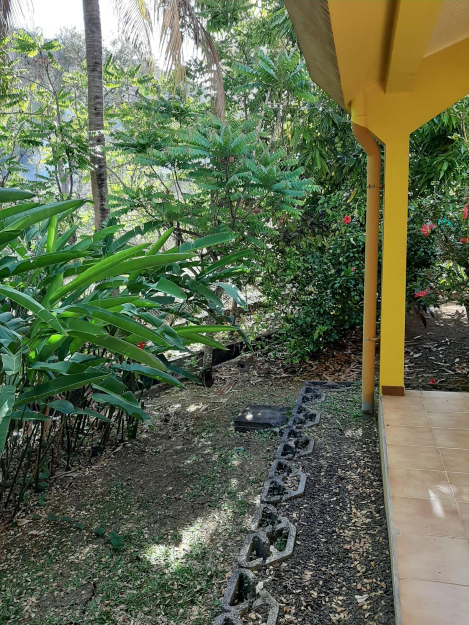 Residence De Vacances Mon Refuge - Bungalow De Type T3 Grande Anse Zewnętrze zdjęcie