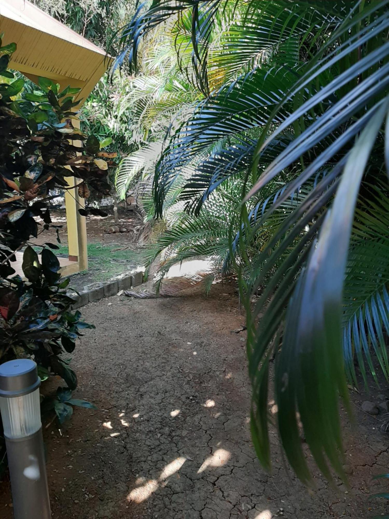 Residence De Vacances Mon Refuge - Bungalow De Type T3 Grande Anse Zewnętrze zdjęcie