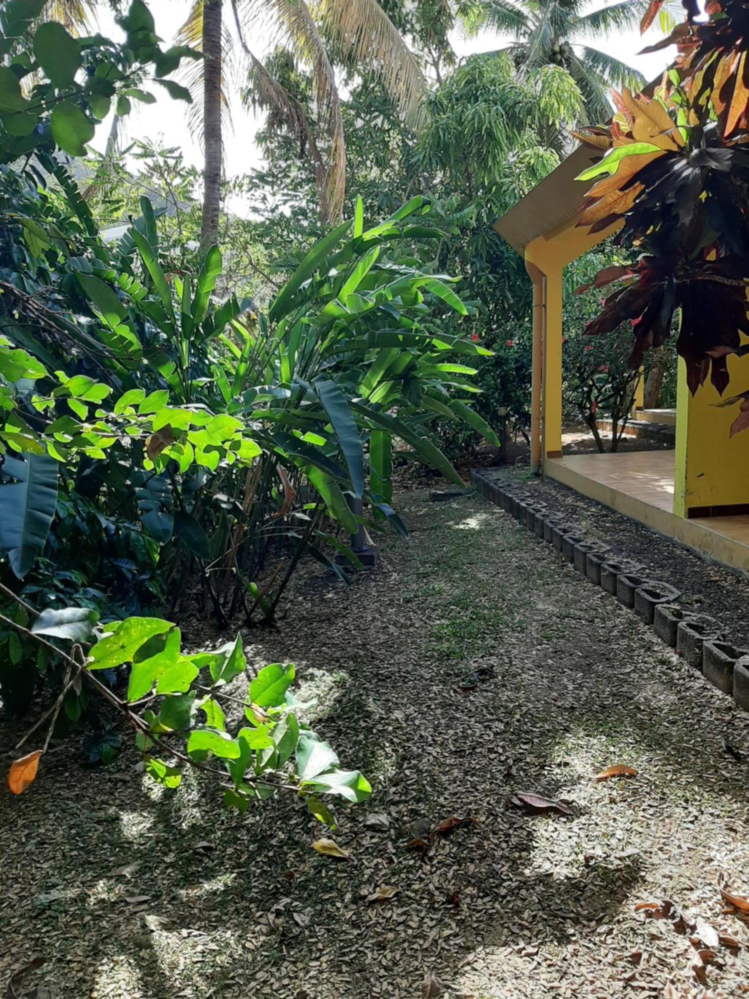 Residence De Vacances Mon Refuge - Bungalow De Type T3 Grande Anse Zewnętrze zdjęcie